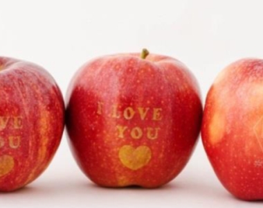 IMPRESSION DE FRUITS 2
